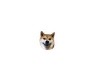 820691556