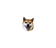 820691557