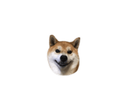 820691558