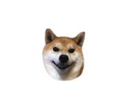 820691559