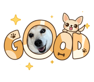 820721129