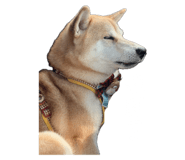 820721482