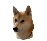 820721486