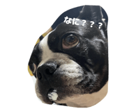 820784617