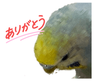 820786040