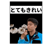 820808881