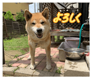 820809507