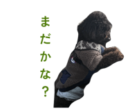820820834