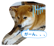 820822480