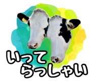 820837337