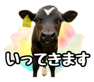 820837338