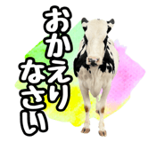 820837341