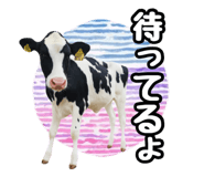 820837343