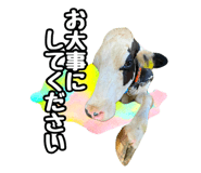 820837355