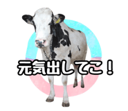 820837356