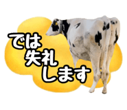 820837362