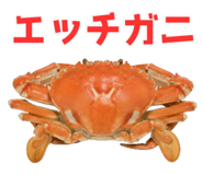 820887979