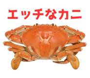 820887980