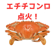 820887981
