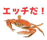 820887983