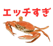 820887984