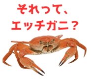 820887988