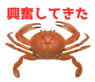 820887989