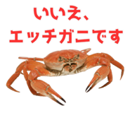820887990