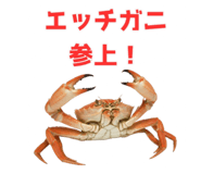 820887994
