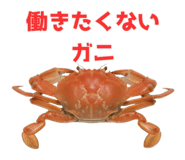 820887996