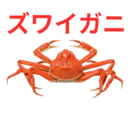 820888004