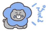 820907855