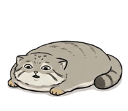 820914763