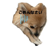 820954900