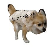 820954903