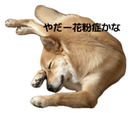 820955030
