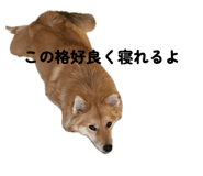 820955031