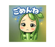 820955987