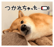 820956153