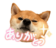 820956160