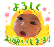 820971557