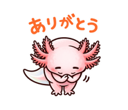 820984379