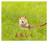 820986099