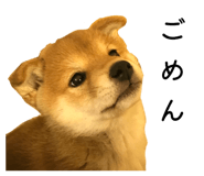 820986104