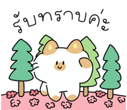 ลายที่ 7