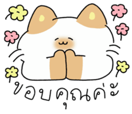 ลายที่ 11