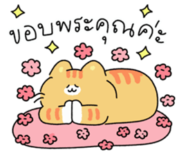 ลายที่ 13