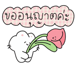 ลายที่ 23