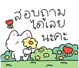 ลายที่ 25