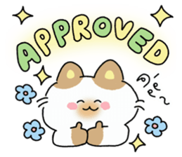 ลายที่ 29